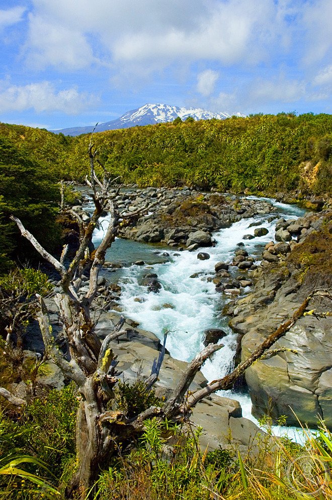 UNESCO World Heritage Sites in New Zealand: the complete guide