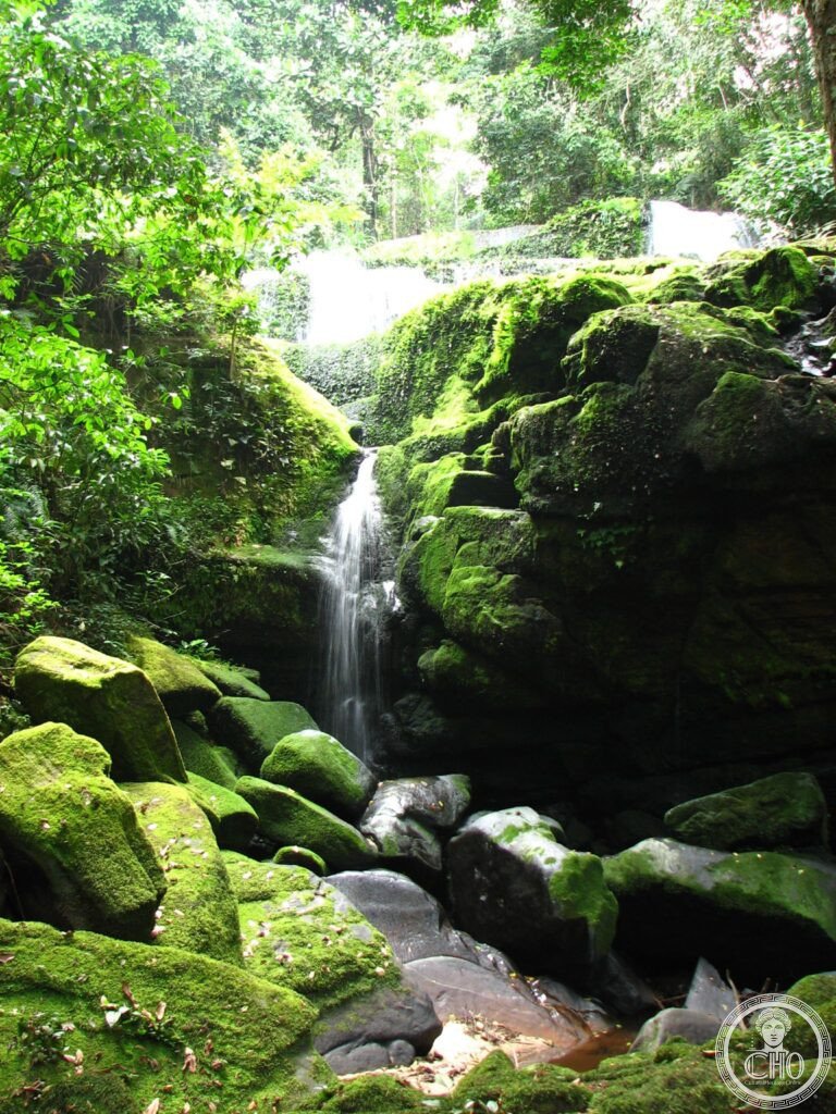 UNESCO World Heritage Sites in Gabon: the complete guide (2 sites)